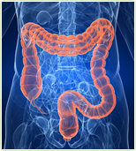 The best Colon Hydrotherapy in Maryland